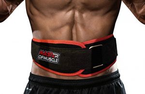 Master of Muscle Workout Weight Lifting Belt