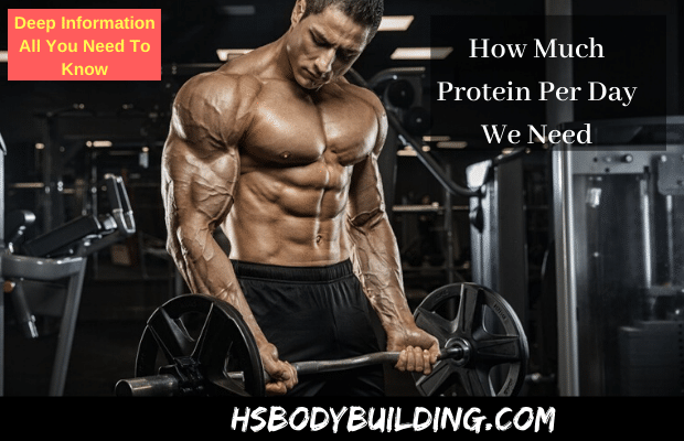 How Much Protein Per Day We Need