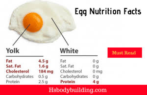 Saturated Fat in an Egg
