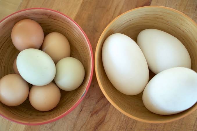How Much Saturated Fat in Eggs Raw Goose?