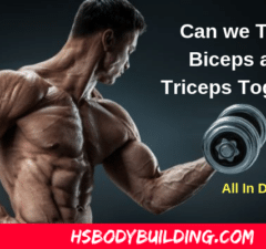 Can We Train Biceps and Triceps Together