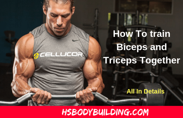 How To Train Biceps and Triceps Together