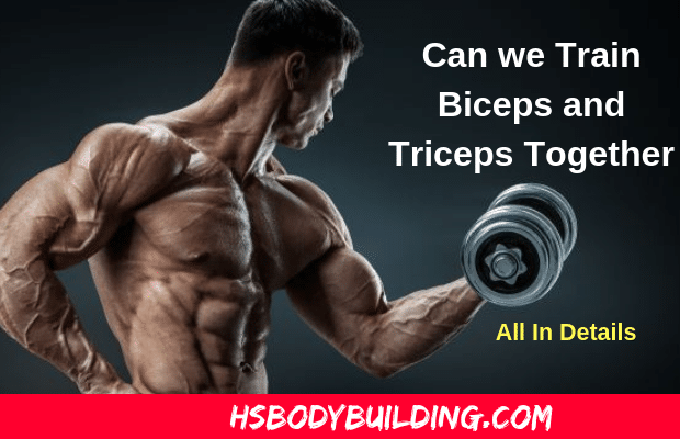 Can We Train Biceps and Triceps Together